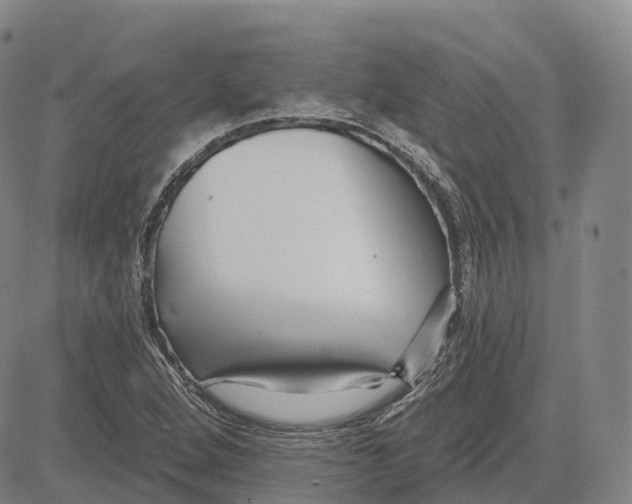 X0000081421264200702021618