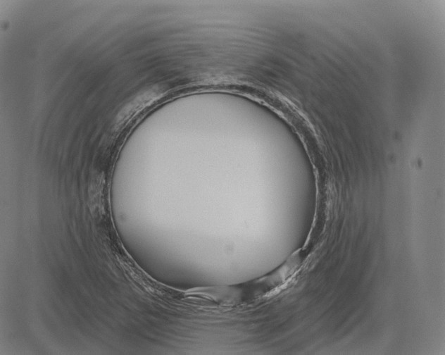 X0000081421265200702021618