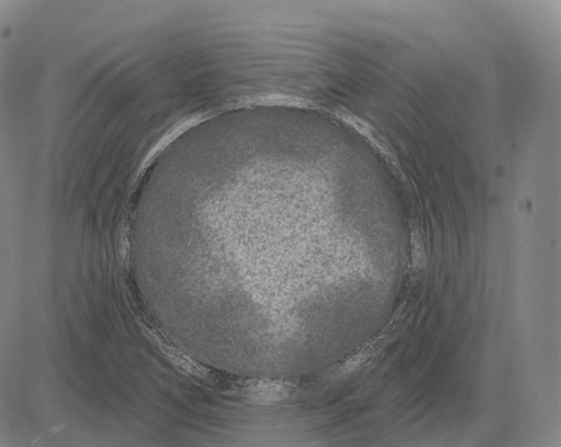 X0000081421266200702021618