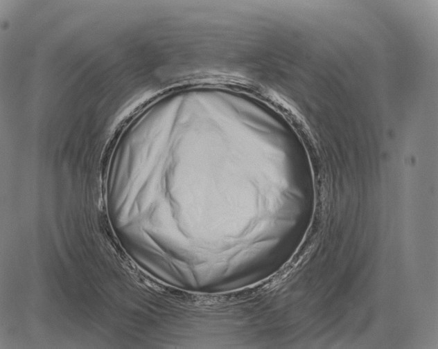 X0000081421267200702021618