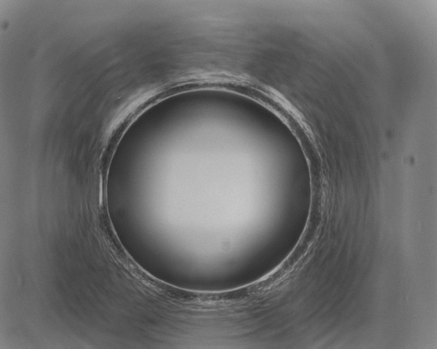 X0000081421269200702021618