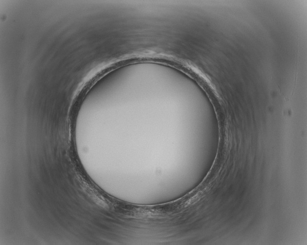 X0000081421270200702021618