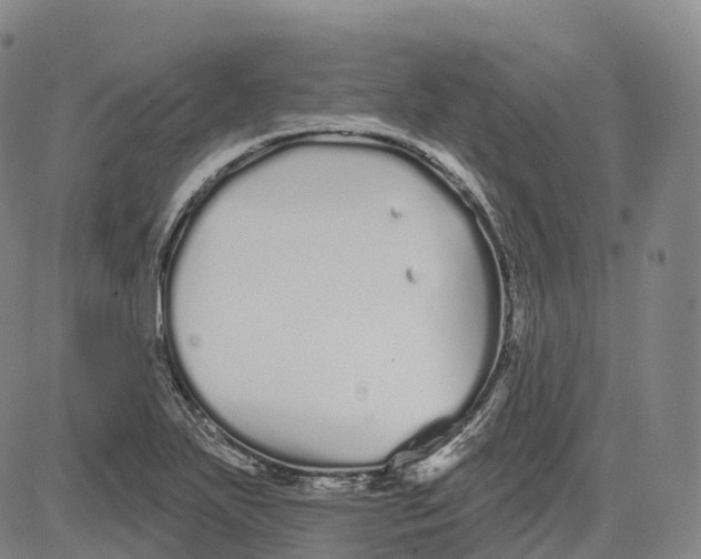 X0000081421271200702021618