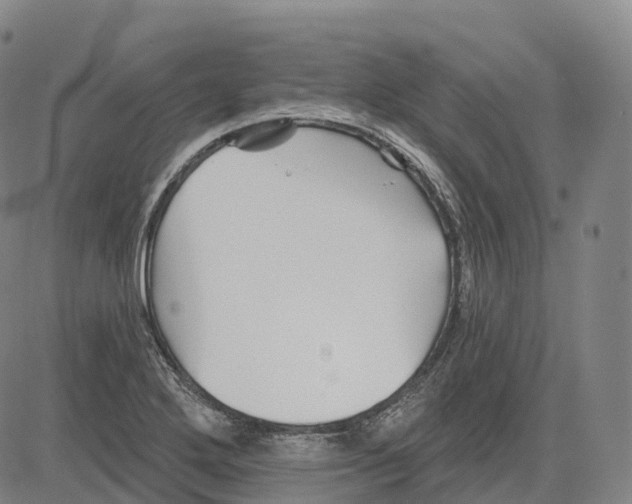 X0000081421272200702021618