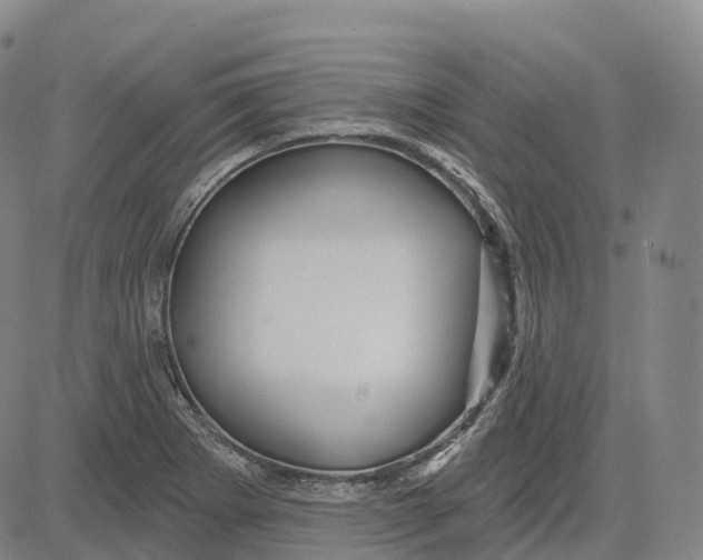 X0000081421273200702021618