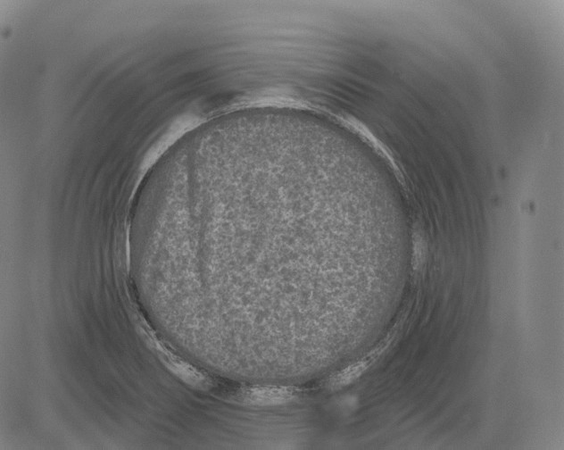 X0000081421274200702021618