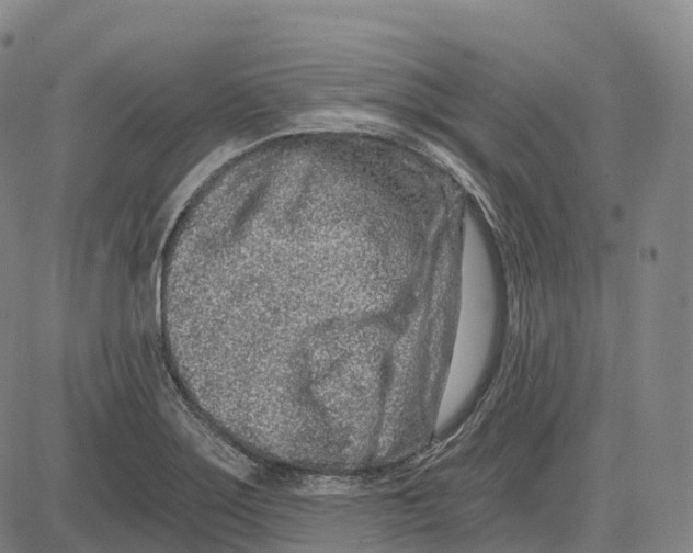 X0000081421275200702021618