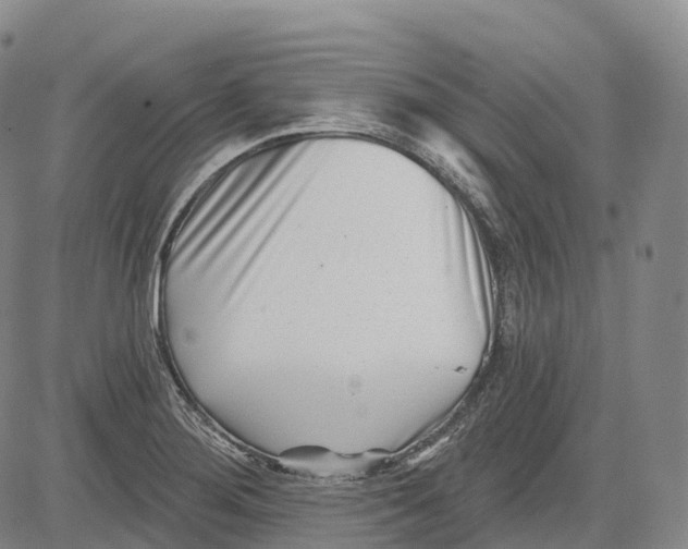 X0000081421276200702021618