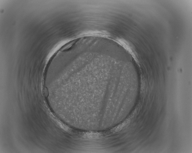 X0000081421277200702021618