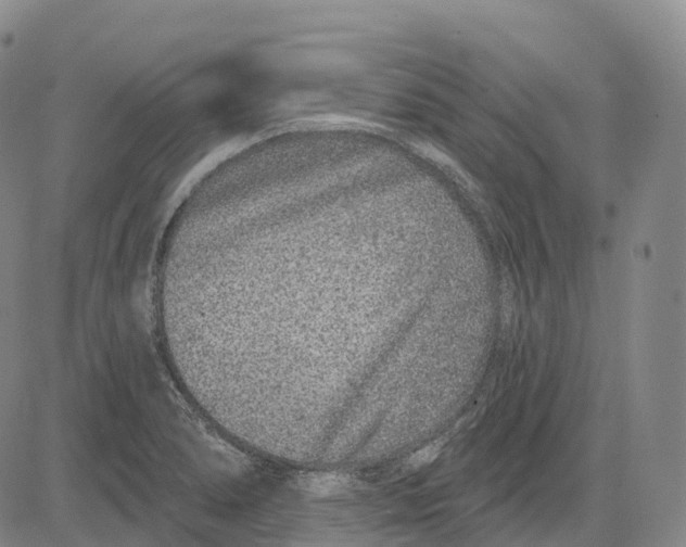 X0000081421278200702021618