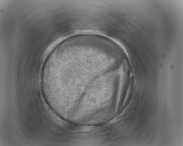 X0000081421279200702021618