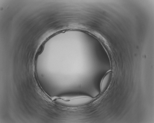 X0000081421280200702021618