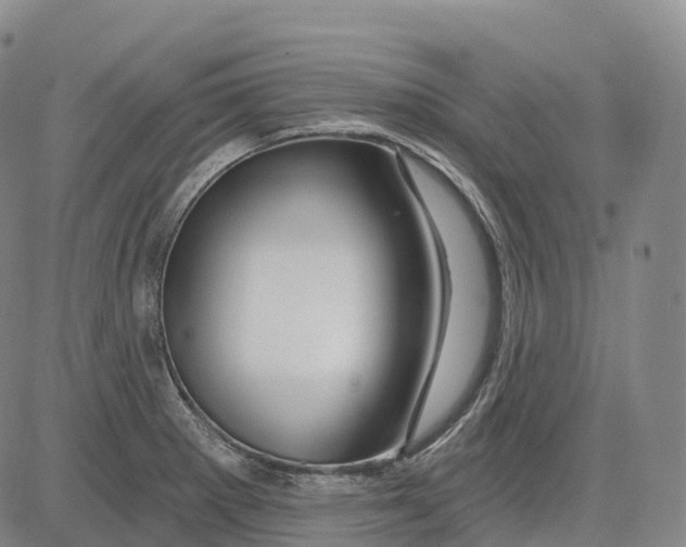 X0000081421281200702021618