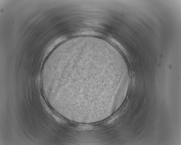 X0000081421282200702021618