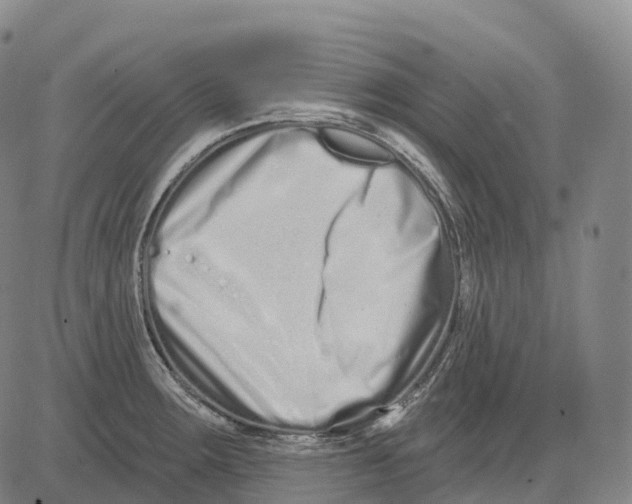 X0000081421283200702021618