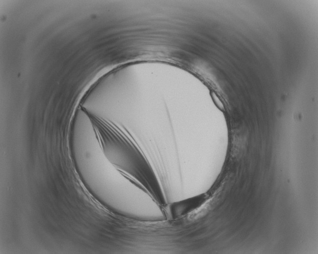 X0000081421284200702021618