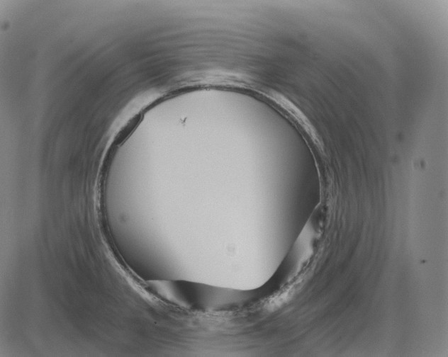 X0000081421285200702021618