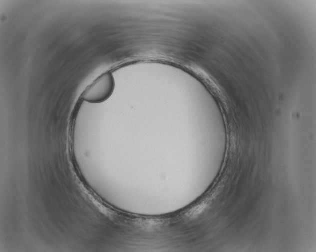 X0000081421286200702021618