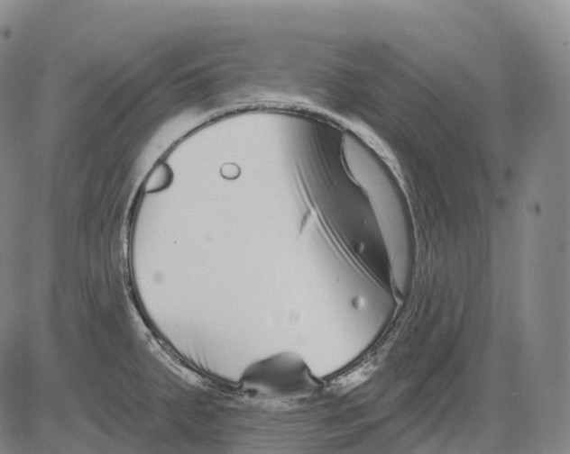 X0000081421287200702021618