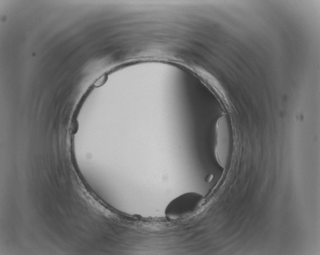 X0000081421288200702021618