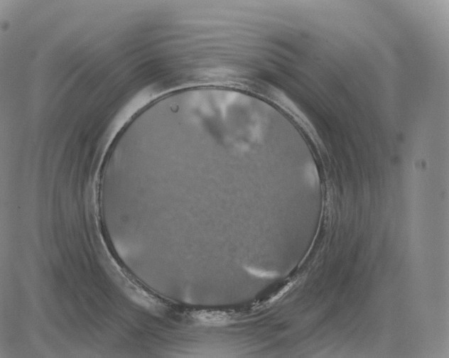 X0000081421291200702021618