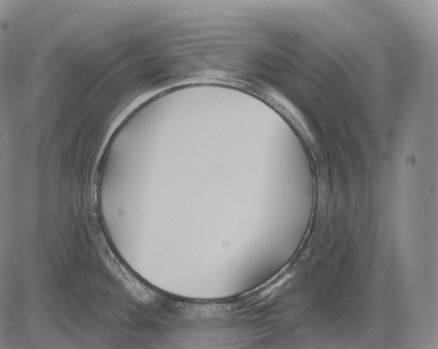 X0000081421292200702021618