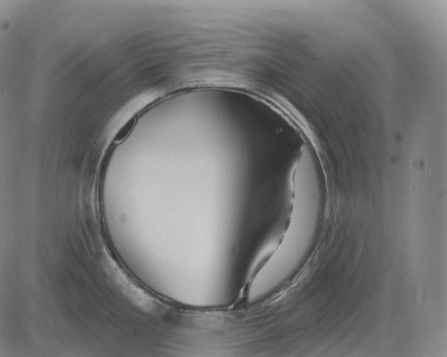 X0000081421293200702021618