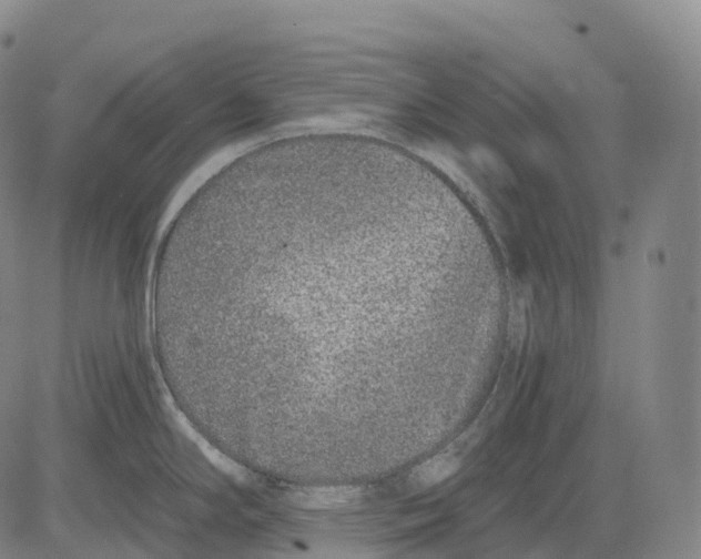 X0000081421294200702021618