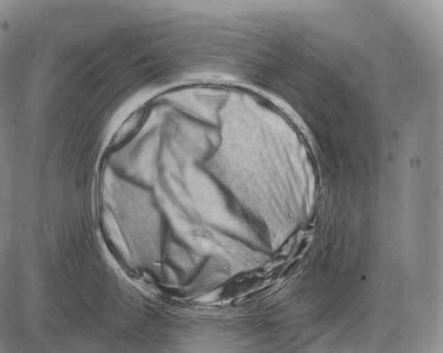 X0000081421295200702021618