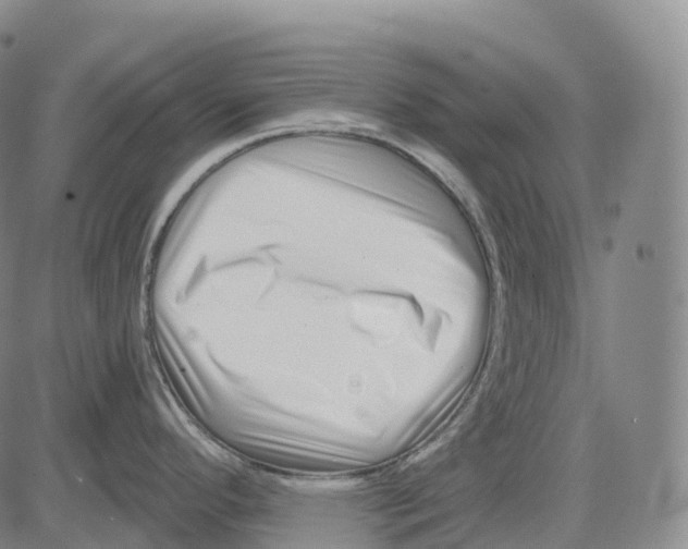 X0000081421296200702021618