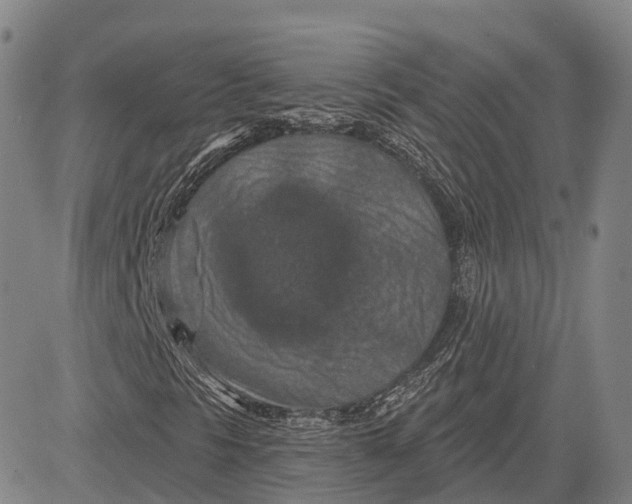 X0000081421297200702021617