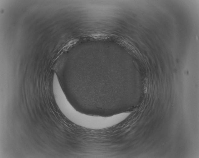 X0000081421298200702021617