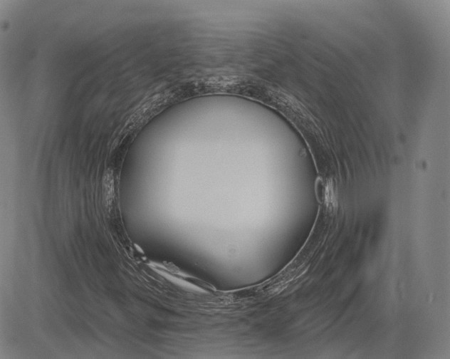 X0000081421299200702021617