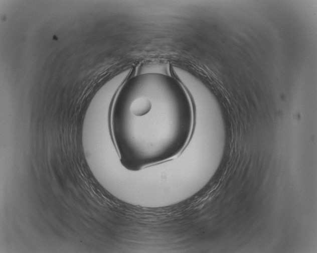 X0000081421300200702021617