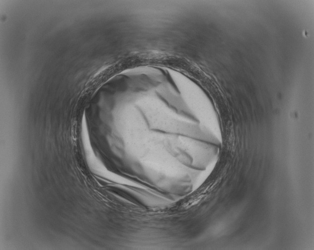 X0000081421301200702021617