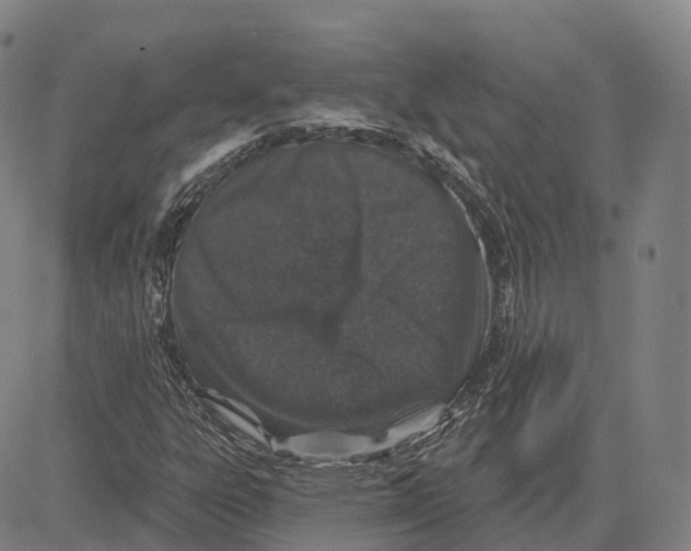 X0000081421303200702021617