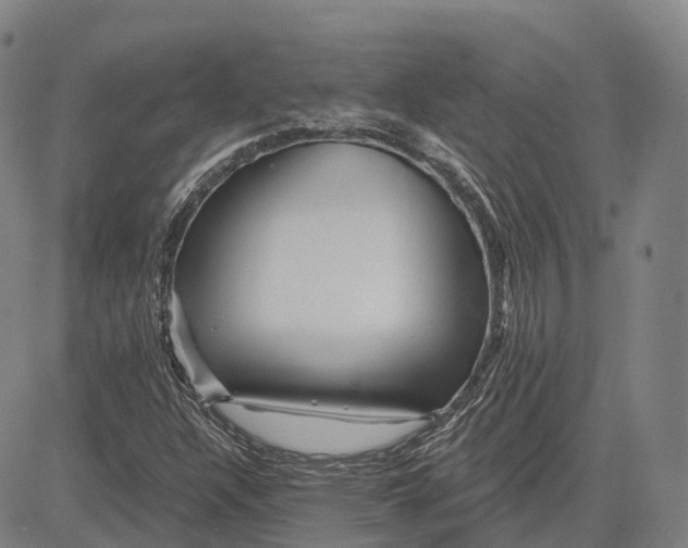 X0000081421304200702021617