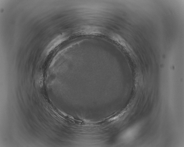 X0000081421306200702021617