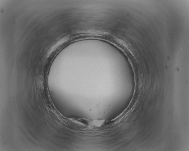 X0000081421307200702021617