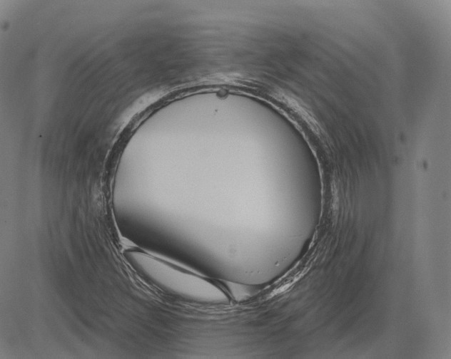 X0000081421308200702021617