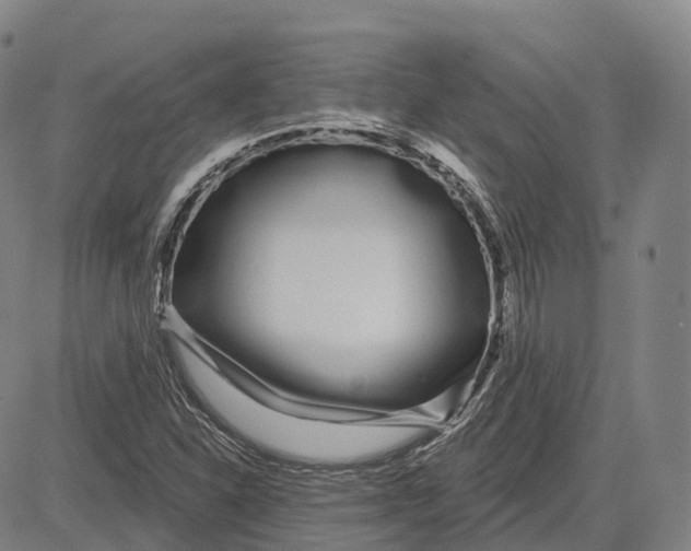 X0000081421310200702021617