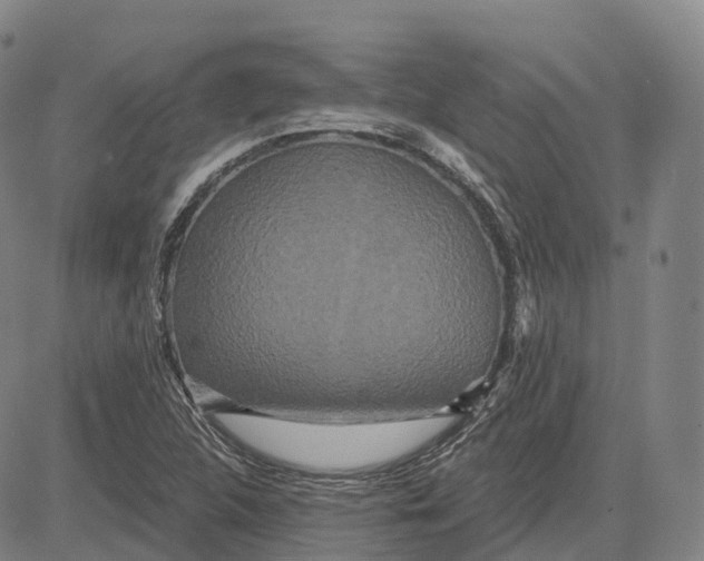 X0000081421312200702021617