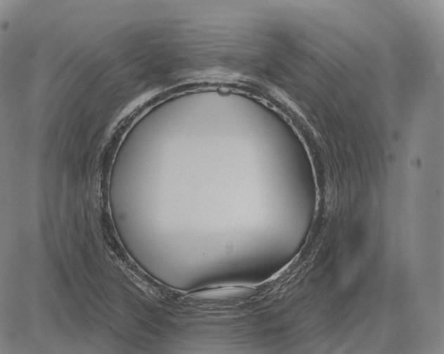 X0000081421315200702021617