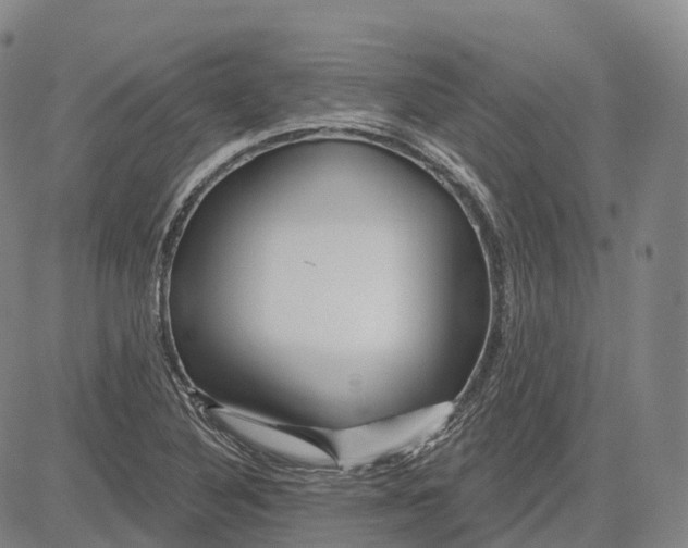 X0000081421316200702021617