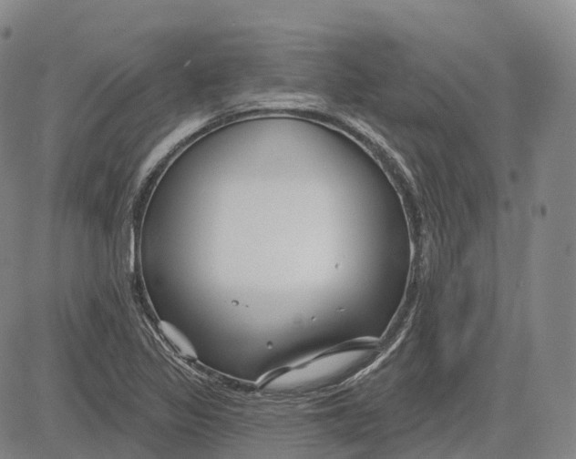 X0000081421317200702021617