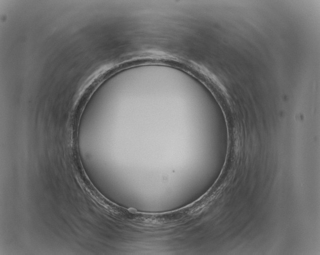 X0000081421318200702021617