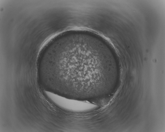 X0000081421319200702021617