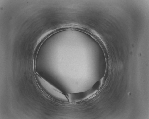 X0000081421320200702021617