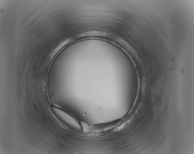 X0000081421321200702021617