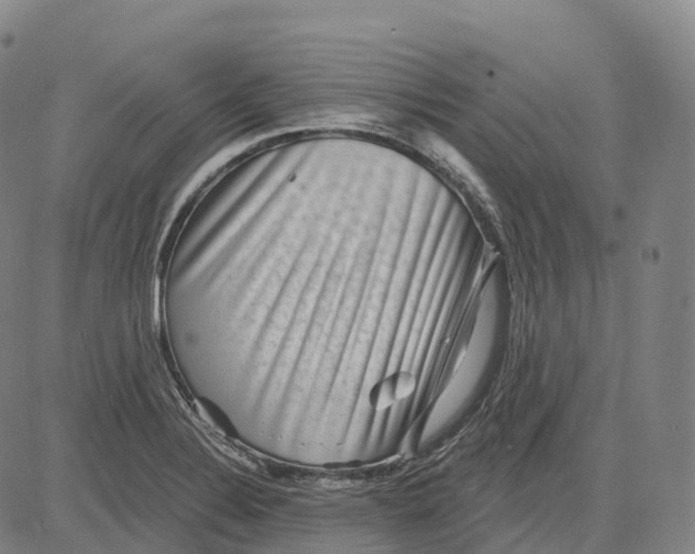 X0000081421324200702021617